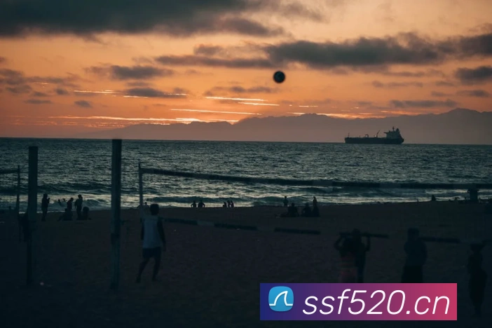 米兰官网入口服务体系